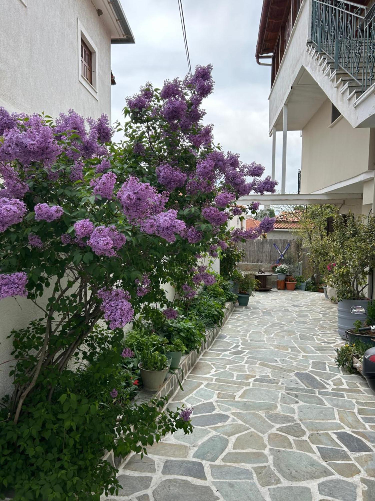 Guesthouse Doma Est 1991 Arachova Exterior foto